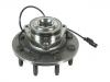 Cubo de rueda Wheel Hub Bearing:52010206AC