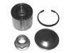 ремкомплект подшипники Wheel bearing kit:77 01 208 059