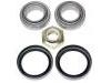 ремкомплект подшипники Wheel bearing kit:5 011 391