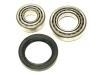 Kit, roulement de roue Wheel Bearing Rep. kit:5 007 027